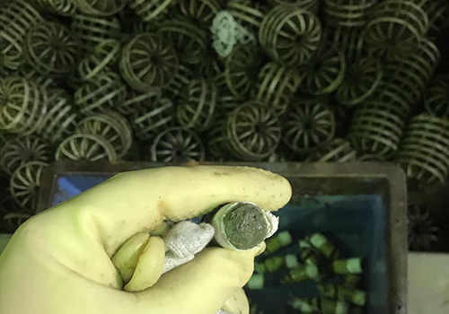 洗滌塔清洗保養(yǎng) 洗滌塔清洗保養(yǎng)